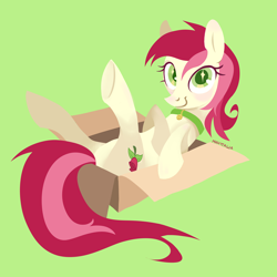 Size: 3508x3508 | Tagged: safe, artist:минтташа, derpibooru import, roseluck, earth pony, pony, behaving like a cat, blushing, box, collar, commission, commissioner:doom9454, cute, green background, looking at you, pet tag, pony in a box, pony pet, rosepet, simple background, smiling, solo