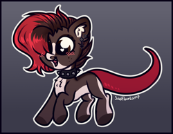 Size: 2484x1932 | Tagged: safe, artist:sadfloorlamp, derpibooru import, oc, oc:torsher, gecko, hybrid, lizard, original species, pony, beautiful, blushing, brown eyes, chibi, choker, collar, colored, cute, cute pony, digital art, ear fluff, ear piercing, earring, ears, eyelashes, fangs, female, full body, fur, gradient background, gray background, high res, jewelry, looking sideways, looking to side, looking to the left, mare, multicolored hair, multicolored mane, open mouth, outline, piercing, quadrupedal, raised hoof, raised hooves, raised leg, red hair, red mane, red tail, signature, simple background, smiling, solo, spiked choker, spiked collar, tail, white outline