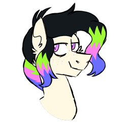 Size: 600x600 | Tagged: safe, artist:fuckomcfuck, derpibooru import, oc, oc only, oc:acid, earth pony, pony, bags under eyes, freckles, simple background, solo, transparent background