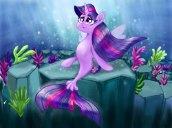 Size: 1191x880 | Tagged: artist needed, safe, derpibooru import, twilight sparkle, twilight sparkle (alicorn), alicorn, mermaid, seapony (g4), my little pony: the movie, belly, bubble, clothes, coral, crepuscular rays, digital art, dorsal fin, eyelashes, female, fin, fin wings, fins, fish tail, flowing mane, flowing tail, horn, looking up, ocean, purple eyes, rock, scales, seabed, seaponified, seapony twilight, seaweed, see-through, sitting, smiling, species swap, spread wings, sunlight, tail, the little mermaid, underwater, water, wings