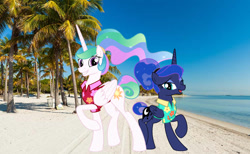 Size: 1139x702 | Tagged: safe, artist:jhayarr23, derpibooru import, princess celestia, princess luna, alicorn, pony, between dark and dawn, beach, clothes, duo, hair bun, hawaiian shirt, miami, palm tree, ponytail, real life background, shirt, tree