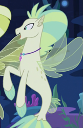 Size: 405x625 | Tagged: safe, derpibooru import, screencap, seapony (g4), g4, surf and/or turf, aestuarium, background sea pony, coral, cropped, dorsal fin, female, fin, fin wings, fins, fish tail, jewelry, makeup, male, male focus, necklace, ocean, ocean mist, offscreen character, open mouth, open smile, scales, seaquestria, seaweed, smiling, solo focus, tail, tail fin, underwater, water, wings