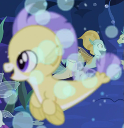 Size: 555x570 | Tagged: safe, derpibooru import, screencap, seapony (g4), g4, surf and/or turf, bubble, coral dust, cropped, depth of field, dorsal fin, drizzling sky, female, fin, fin wings, fins, jewelry, male, male focus, misty shores, necklace, ocean, offscreen character, open mouth, open smile, out of focus, seaquestria, seaweed, smiling, solo focus, tail, tail fin, underwater, unnamed character, unnamed seapony, water, wings