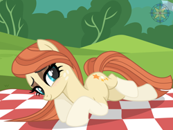 Size: 4000x3000 | Tagged: safe, artist:r4hucksake, derpibooru import, oc, oc only, oc:frazzle, earth pony, pony, blushing, coat markings, female, looking at you, lying down, mare, outdoors, picnic blanket, prone, smiling, smiling at you, socks (coat marking), solo