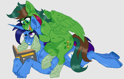 Size: 1500x960 | Tagged: safe, artist:kamokpushok, derpibooru import, oc, oc only, oc:marquis majordome, oc:windy barebow evergreen, pegasus, pony, unicorn, book, commission, cute, duo, glasses, hoof wraps, reading, sitting on person, sitting on pony, wholesome, ych result