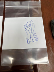 Size: 3024x4032 | Tagged: safe, artist:mydude714, derpibooru import, pony, female, front view, looking at you, mare, pen drawing, simple, smiling, solo, standing, traditional art