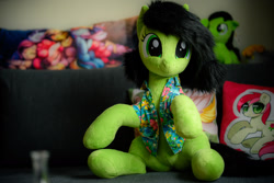 Size: 1800x1200 | Tagged: safe, artist:littlefairyswonders, twibooru import, oc, oc:anon filly, pony, clothes, female, filly, foal, hawaiian shirt, irl, irl photo, looking at you, photo, plushie, seams, shirt, sitting, smiling, solo