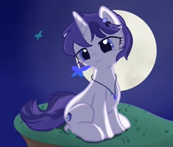 Size: 2343x2000 | Tagged: safe, artist:fuzzy cyclone, derpibooru import, oc, oc only, oc:starfall moonlight, butterfly, pony, unicorn, blue eyes, coiled mane, dreamy, grass, grass field, headwear, jewelry, light skin, moon, necklace, night, sitting, solo