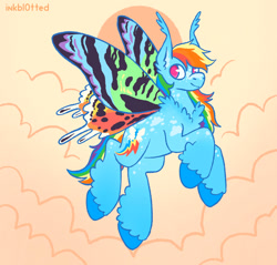 Size: 1481x1416 | Tagged: safe, artist:inkbl0t, derpibooru import, rainbow dash, moth, mothpony, original species, pegasus, pony, ear tufts, female, fluffy, flying, mare, redesign, solo, species swap, unshorn fetlocks