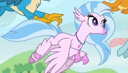 Size: 651x373 | Tagged: safe, derpibooru import, screencap, gallus, ocellus, silverstream, smolder, changeling, school daze, season 8, spoiler:s08, female, male