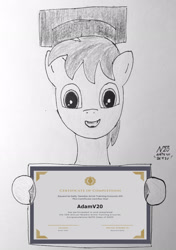 Size: 2024x2876 | Tagged: safe, artist:adamv20, derpibooru import, oc, pony, atg 2023, newbie artist training grounds