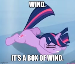 Size: 543x460 | Tagged: safe, derpibooru import, edit, edited screencap, screencap, twilight sparkle, unicorn twilight, pony, unicorn, the crystal empire, caption, female, image macro, imgflip, mare, meme, solo, text, the backyardigans, wind