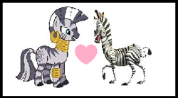 Size: 269x148 | Tagged: safe, artist:sweetheart1012, derpibooru import, zecora, zebra, best ship, boyfriend and girlfriend, crossover, crossover shipping, dreamworks, female, heart, lowres, madagascar (dreamworks), male, marty, shipping, straight, zarty
