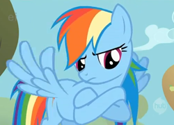 Size: 500x360 | Tagged: safe, derpibooru import, screencap, rainbow dash, pony, rainbow dash is not amused, solo, unamused