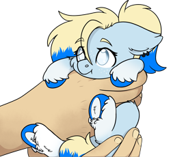 Size: 2294x2109 | Tagged: safe, artist:rokosmith26, derpibooru import, oc, oc only, oc:azure opus, human, pegasus, pony, blind, cheek fluff, commission, cute, ear fluff, ear piercing, ears, female, floppy ears, freckles, hand, holding, holding a pony, in goliath's palm, looking up, mare, piercing, ponytail, simple background, size difference, solo, tail, tiny, tiny ponies, transparent background, two toned mane, two toned tail, underhoof, unshorn fetlocks, ych result