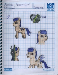 Size: 1964x2511 | Tagged: safe, artist:alejandrogmj, derpibooru import, oc, oc:alejandrogmj, changeling, pegasus, changeling oc, cutie mark, disguise, disguised changeling, front view, three quarter view, traditional art