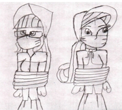 Size: 492x443 | Tagged: safe, alternate version, artist:bluesplendont, derpibooru import, rarity, twilight sparkle, human, equestria girls, bonnet, cloth gag, gag, humanized, monochrome, tied up, traditional art, western