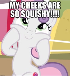 Size: 870x939 | Tagged: safe, derpibooru import, edit, edited screencap, screencap, sweetie belle, pony, unicorn, caption, cropped, cute, diasweetes, image macro, lampshade hanging, smiling, solo, squishy cheeks, sweetie belle is a marshmallow too, text