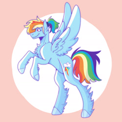 Size: 1920x1920 | Tagged: safe, artist:augustine, derpibooru import, rainbow dash