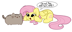 Size: 5113x2292 | Tagged: safe, artist:kittyrosie, derpibooru import, fluttershy, cat, pegasus, pony, absurd resolution, open mouth, pusheen, simple background, speech bubble, transparent background