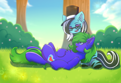 Size: 3500x2400 | Tagged: safe, artist:fluffywhirlpool, derpibooru import, oc, oc only, oc:aqua grass, oc:purapoint, earth pony, pegasus, pony, cute, detailed background, earth pony oc, friends, pegasus oc