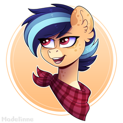 Size: 4000x4000 | Tagged: safe, artist:madelinne, derpibooru import, oc, oc only, earth pony, earth pony oc, male, solo, stallion