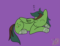 Size: 1837x1408 | Tagged: safe, artist:darkderp, derpibooru import, oc, oc only, oc:windy barebow evergreen, pegasus, cute, gift art, lying down, onomatopoeia, purple background, simple background, sleeping, solo, sound effects, zzz