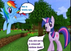 Size: 749x536 | Tagged: safe, derpibooru import, edit, rainbow dash, twilight sparkle, unicorn twilight, pegasus, pony, unicorn, 1000 hours in ms paint, flying, grass, minecraft, needs more jpeg, shitposting, tree