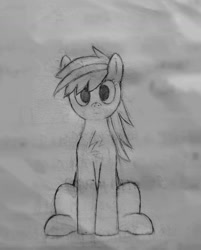 Size: 1080x1344 | Tagged: safe, artist:naweixiya, derpibooru import, oc, oc only, oc:sunrise starwave, earth pony, pony, black and white, chest fluff, female, grayscale, monochrome, paper, pencil drawing, sitting, sketch, traditional art