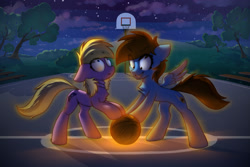 Size: 1920x1280 | Tagged: safe, artist:o0o-bittersweet-o0o, derpibooru import, oc, oc:sky gamer, earth pony, pegasus, pony, basketball, cloud, commission, duo, female, glowing, looking at something, looking up, looney tunes, male, night, smiling, smirk, space jam, sports, spread wings, standing, stars, tree, twisted neck, wide eyes, wings