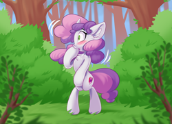 Size: 2048x1482 | Tagged: safe, artist:kittytitikitty, derpibooru import, sweetie belle, pony, unicorn, bipedal, blushing, chest fluff, ear fluff, ears, female, forest, scenery, solo