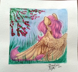 Size: 3304x3072 | Tagged: safe, artist:jsunlight, derpibooru import, fluttershy, pegasus, pony, female, grass, high res, mare, outdoors, partially open wings, passepartout, rear view, sitting, solo, traditional art, tree branch, wings