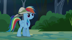 Size: 1280x720 | Tagged: safe, derpibooru import, screencap, rainbow dash, pegasus, pony, daring don't, season 4, bush, female, folded wings, forest, hat, mare, solo