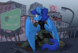 Size: 4096x2807 | Tagged: safe, artist:reddthebat, derpibooru import, oc, oc only, oc:amber steel, pegasus, pony, fallout equestria, body armor, bodysuit, bottle, city, enclave, female, frown, looking at you, looking back, looking back at you, mare, ruins, sitting, solo, wings