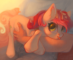 Size: 2497x2058 | Tagged: safe, artist:vesna, derpibooru import, roseluck, human, pony, behaving like a cat, collar, commission, commissioner:doom9454, cute, ear fluff, ears, fluffy, holding a pony, petting, pony pet, rosepet, tongue, tongue out, unshorn fetlocks