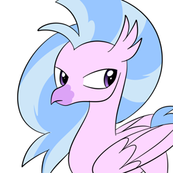 Size: 3000x3000 | Tagged: safe, derpibooru exclusive, derpibooru import, silverstream, classical hippogriff, hippogriff, female, simple background, solo, unhappy, white background