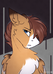 Size: 2100x2900 | Tagged: safe, artist:snowstormbat, derpibooru import, oc, oc:barnstorme, pegasus, pony, bust, fluffy, looking at you, male, portrait, solo, stallion, wings