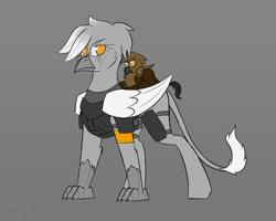 Size: 2000x1600 | Tagged: safe, artist:somber, derpibooru import, oc, oc only, griffon, armor, child, female