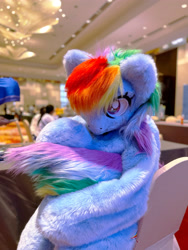 Size: 3024x4032 | Tagged: safe, derpibooru exclusive, derpibooru import, rainbow dash, human, pegasus, convention, csbc 2023, fursuit, irl, photo, ponysuit, solo