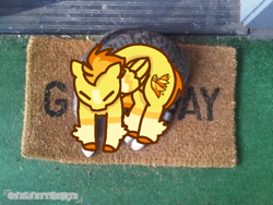 Size: 622x468 | Tagged: safe, artist:velvettheartz, derpibooru import, spitfire, pegasus, pony, blaze (coat marking), coat markings, eyes closed, facial markings, female, gay, male, mare, ponified animal photo, welcome mat