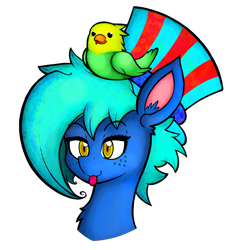 Size: 3834x4196 | Tagged: safe, artist:facadeart, derpibooru import, oc, oc only, oc:texture, bird, :p, hat, simple background, solo, tongue, tongue out, transparent background