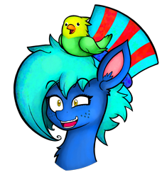 Size: 3834x4196 | Tagged: safe, artist:facadeart, derpibooru import, oc, oc only, oc:texture, bird, crazy face, faic, hat, simple background, solo, transparent background