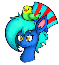 Size: 3834x4196 | Tagged: safe, artist:facadeart, derpibooru import, oc, oc only, oc:texture, bird, bust, hat, simple background, smiling, solo, transparent background