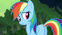 Size: 1280x720 | Tagged: safe, derpibooru import, screencap, rainbow dash, pegasus, pony, daring don't, season 4, butt, female, looking back, mare, plot, rainbutt dash, sad, solo