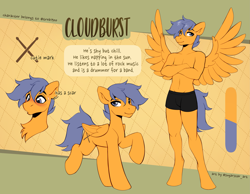 Size: 3831x2970 | Tagged: safe, artist:sugarstar, derpibooru import, oc, oc:cloudburst, anthro, pegasus, pony, blushing, clothes, crossed arms, cutie mark, male, reference sheet, scar, smiling, spread wings, stallion, standing, wings