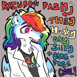 Size: 1000x1000 | Tagged: safe, artist:muckyschmuck, derpibooru import, rainbow dash, anthro, dog, 20% cooler, :p, alternate universe, au:my little puppy, dogified, ear piercing, fangs, gray background, hair over one eye, husky, nonbinary, piercing, pronouns, rainbow dog, simple background, solo, species swap, tongue, tongue out, winged dog, wings