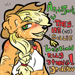 Size: 1000x1000 | Tagged: safe, artist:muckyschmuck, derpibooru import, applejack, anthro, border collie, dog, alternate universe, appledog, au:my little puppy, braid, braided ponytail, clothes, collar, collie, cowboy hat, dogified, food, gray background, hat, nonbinary, ponytail, short shirt, simple background, species swap, wheat