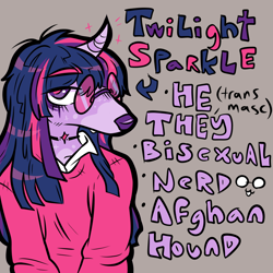 Size: 1000x1000 | Tagged: safe, artist:muckyschmuck, derpibooru import, twilight sparkle, anthro, dog, afghan hound, alternate universe, au:my little puppy, choker, dogified, glasses, gray background, horned dog, pronouns, simple background, solo, species swap, text, transmasculine, twilight barkle