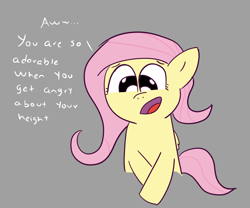 Size: 1200x1000 | Tagged: safe, artist:wanda, derpibooru import, fluttershy, pegasus, pony, gray background, looking down, simple background, solo, text