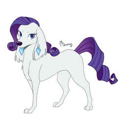 Size: 894x894 | Tagged: safe, artist:beinting, derpibooru import, rarity, dog, cute, dogified, female, looking at you, raribetes, raridog, signature, simple background, solo, species swap, standing, transparent background